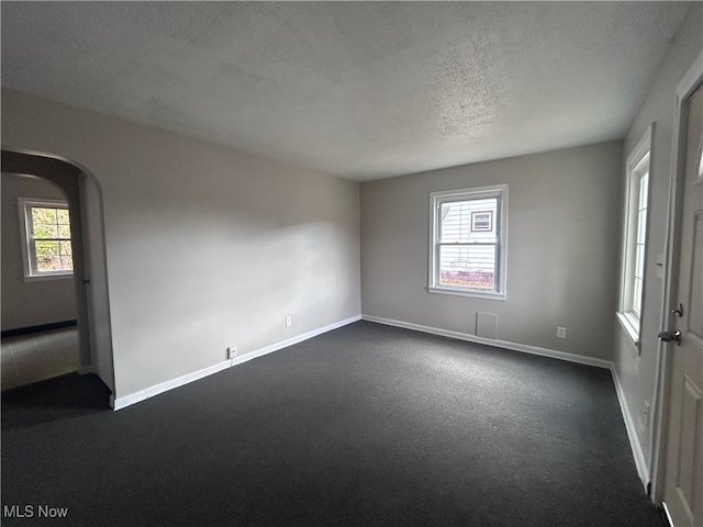 carpeted empty room with plenty of natural light and a textured ceiling