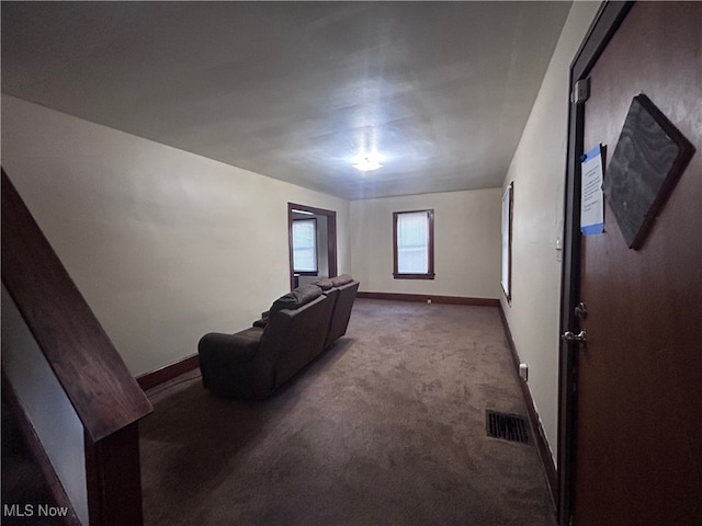 bonus room featuring carpet floors