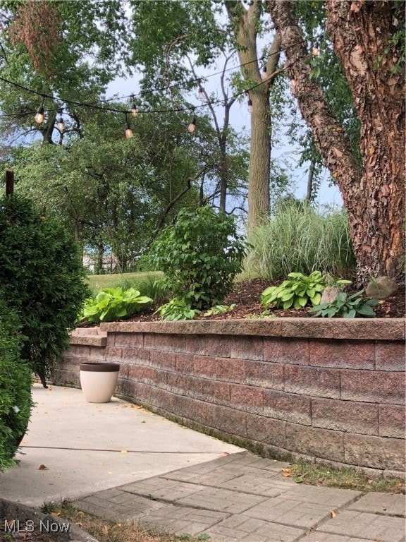 view of community featuring a patio