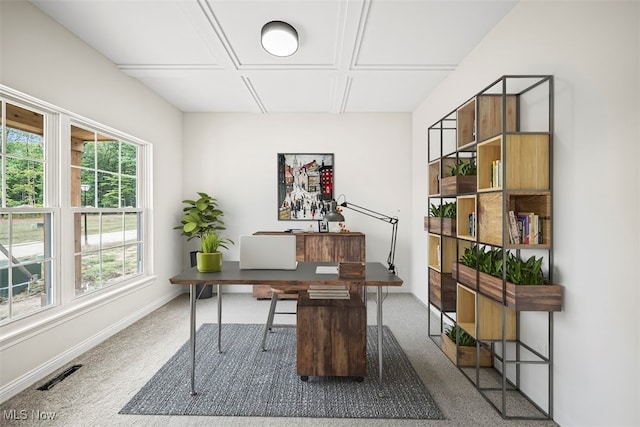 office area featuring carpet floors