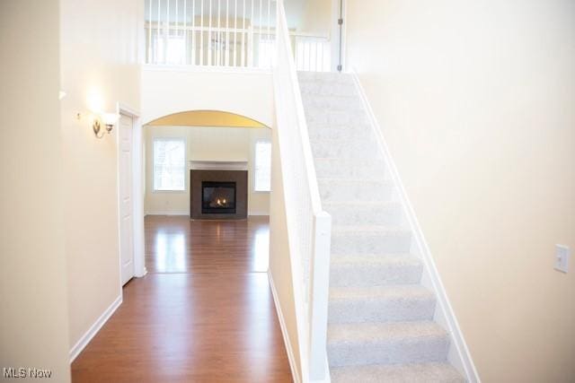 staircase with wood-type flooring