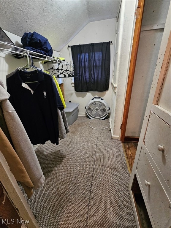 spacious closet featuring vaulted ceiling