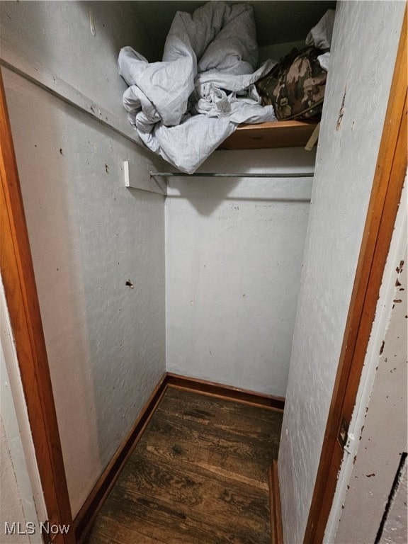 spacious closet with dark wood-type flooring