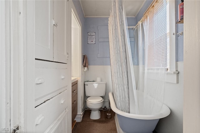 bathroom featuring a bathing tub, vanity, and toilet