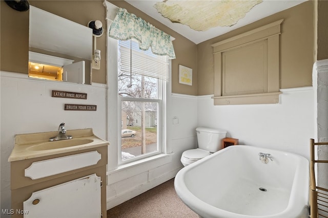 bathroom with a bathtub, vanity, and toilet