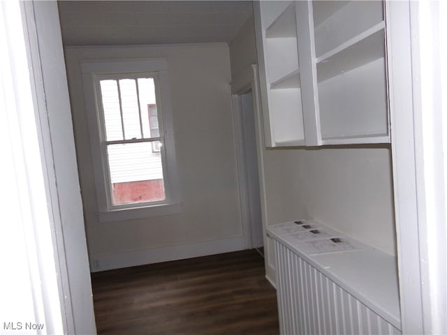 hallway featuring radiator heating unit and dark hardwood / wood-style floors