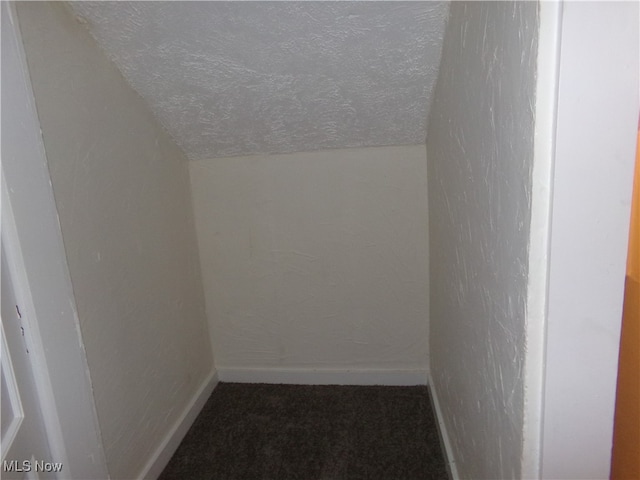 bonus room with lofted ceiling and a textured ceiling