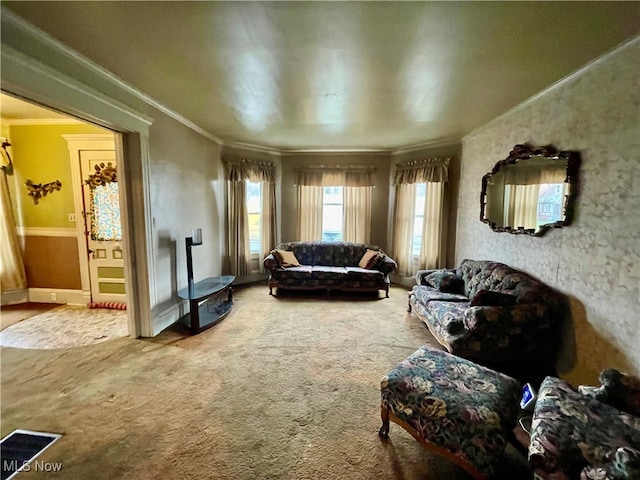 living area with carpet and ornamental molding