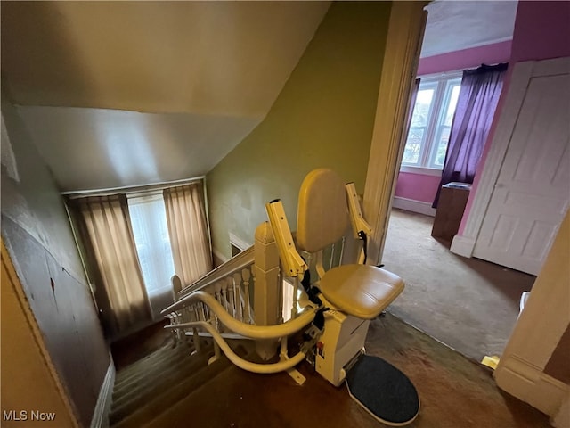 sitting room featuring carpet floors and vaulted ceiling