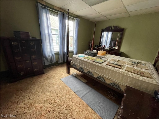 520 E Lincoln Way, Lisbon, OH 44432 - carpeted bedroom with a paneled ceiling