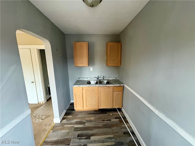 kitchen featuring sink and dark wood-type flooring