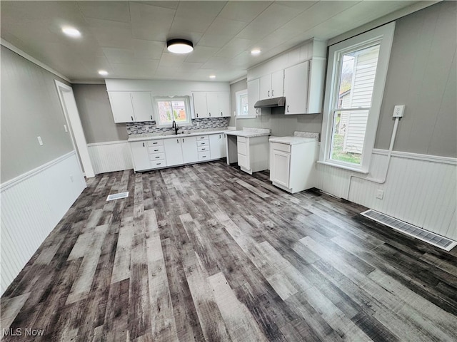 kitchen featuring wood-type flooring, white cabinetry, and sink