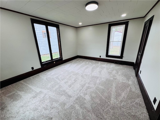 spare room with carpet flooring and crown molding