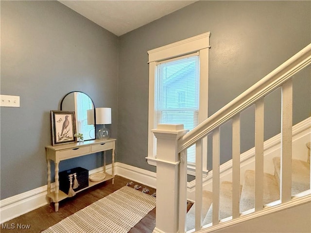 stairway featuring hardwood / wood-style floors