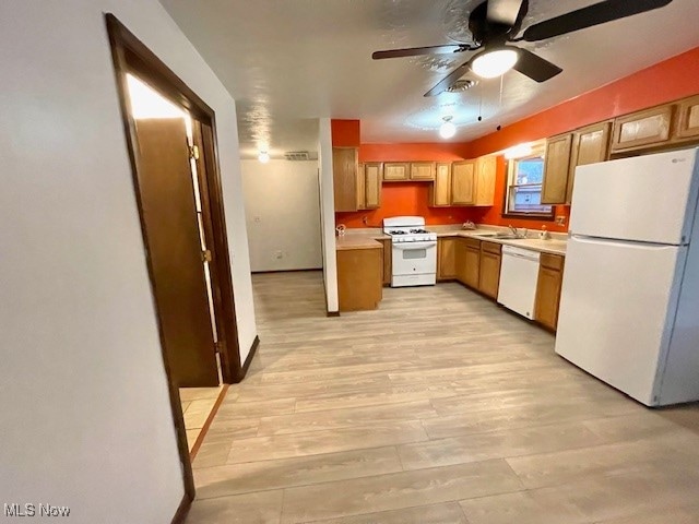 kitchen with ceiling fan, sink, light hardwood / wood-style floors, and white appliances