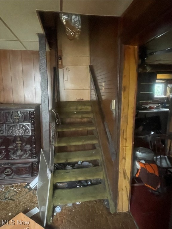 stairs featuring wood walls