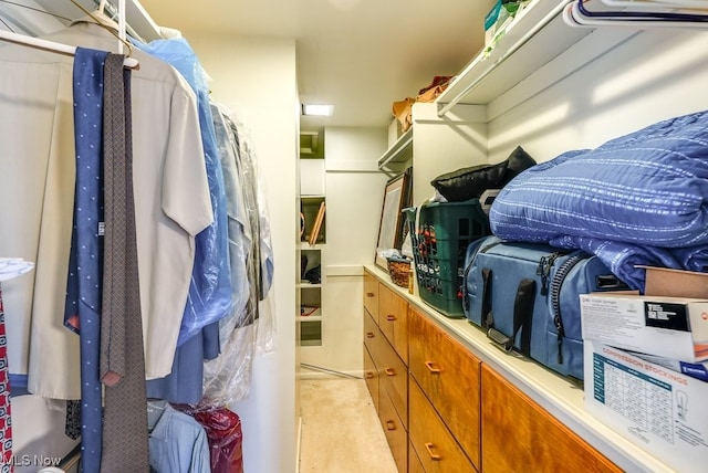 spacious closet featuring light carpet