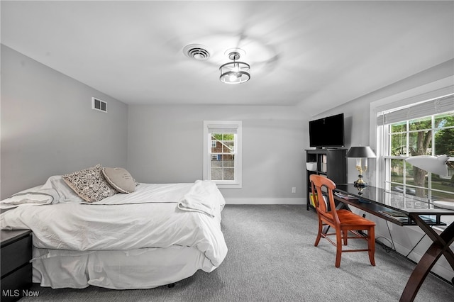 bedroom with carpet flooring