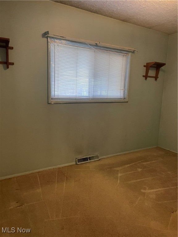 spare room featuring carpet floors and a textured ceiling