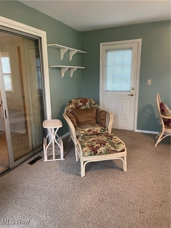 sitting room with carpet floors