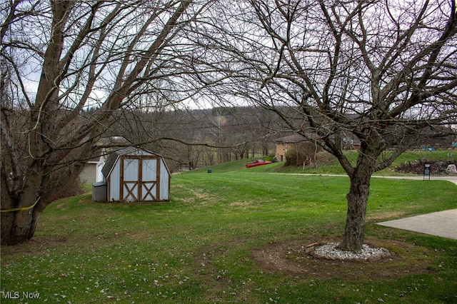 view of yard with a storage shed