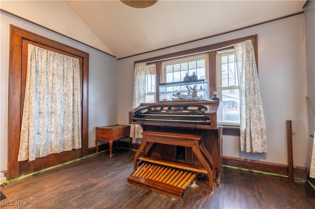 miscellaneous room featuring dark hardwood / wood-style flooring and vaulted ceiling