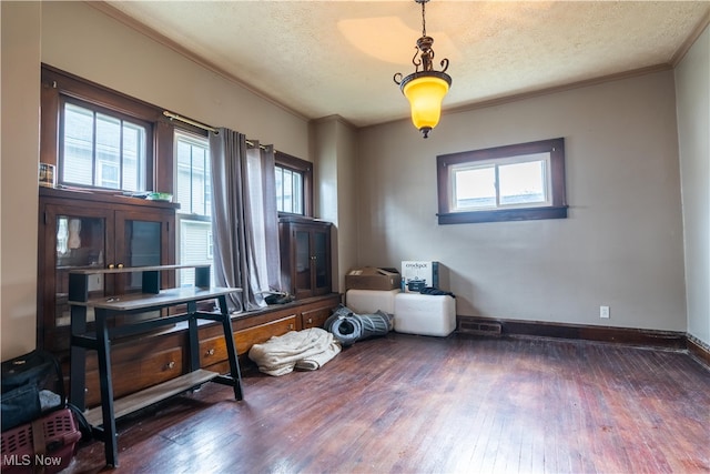 miscellaneous room with plenty of natural light, dark hardwood / wood-style flooring, and a textured ceiling