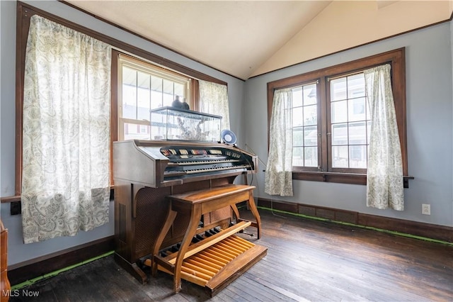 sitting room with vaulted ceiling, hardwood / wood-style floors, and a wealth of natural light