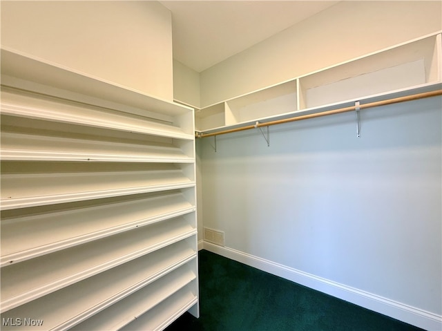 walk in closet with carpet floors