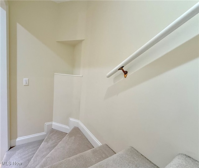 staircase featuring carpet