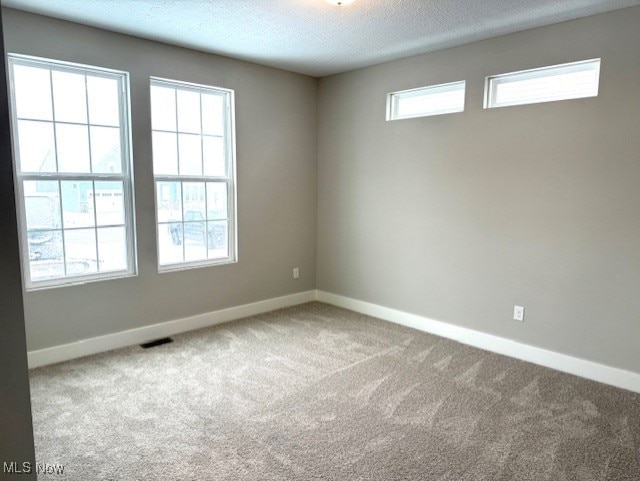 empty room with plenty of natural light, carpet, and a textured ceiling