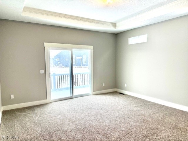 spare room featuring a raised ceiling, plenty of natural light, and carpet