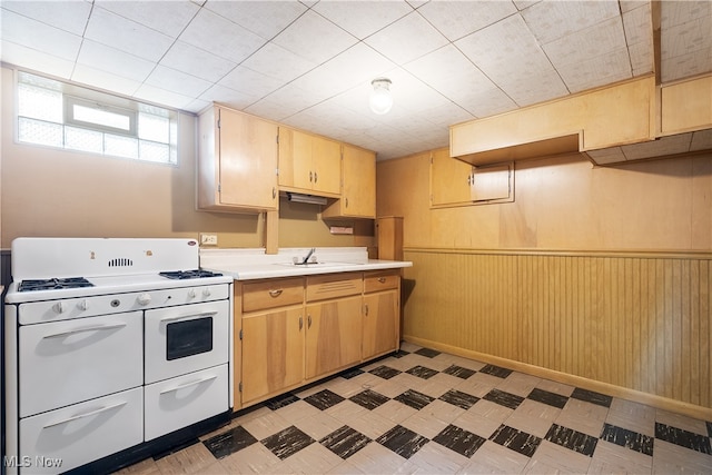 kitchen featuring wood walls, sink, light brown cabinetry, and gas range gas stove