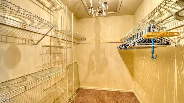 walk in closet featuring carpet and a notable chandelier