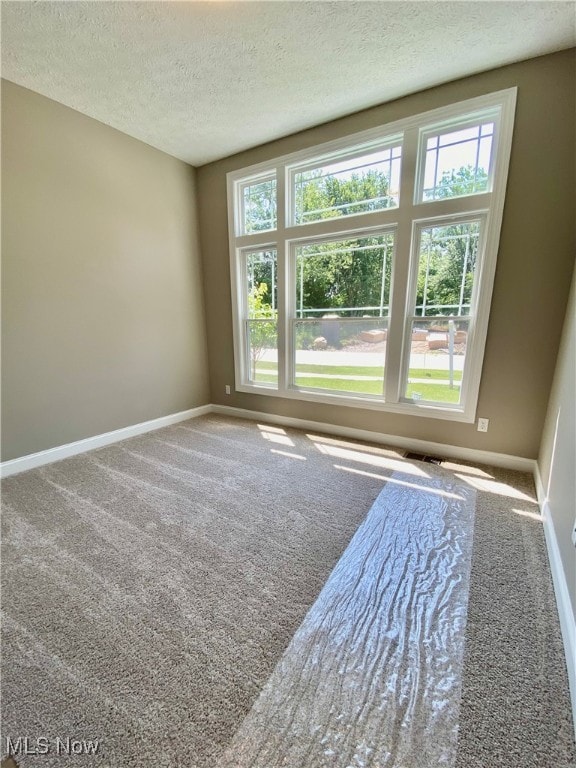 unfurnished bedroom featuring carpet, a textured ceiling, and multiple windows