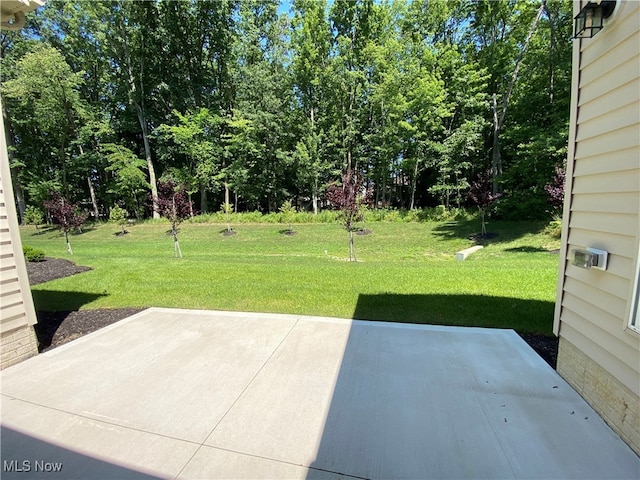 view of yard with a patio