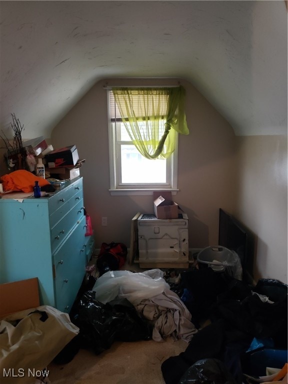 additional living space featuring carpet and lofted ceiling