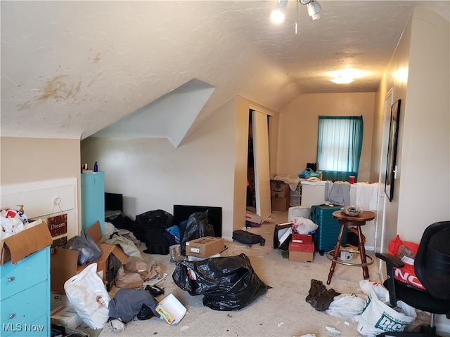 additional living space featuring carpet and lofted ceiling