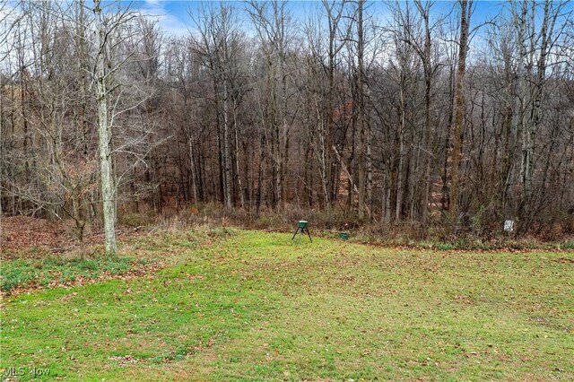 42617 State Route 800, Woodsfield, OH 43793 - photo 10