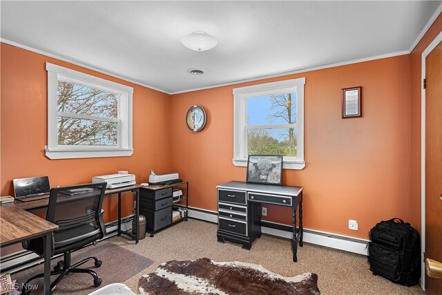 42617 State Route 800, Woodsfield, OH 43793 - photo 22