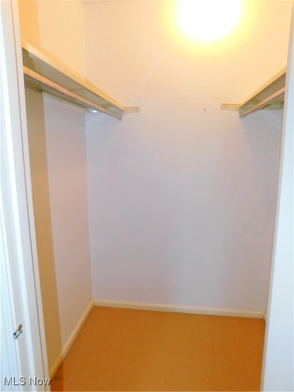 spacious closet featuring carpet floors