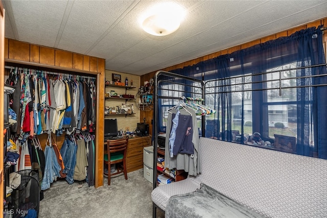 spacious closet featuring carpet