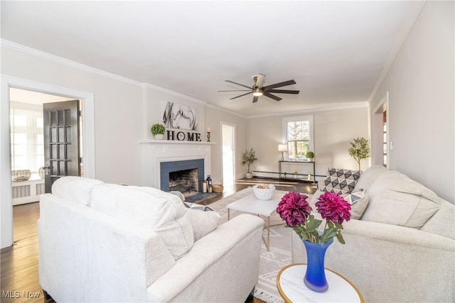 living room featuring ornamental molding, hardwood / wood-style floors, and radiator heating unit