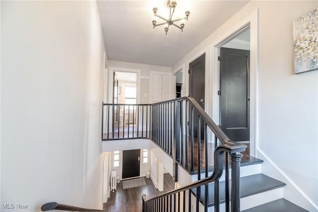 stairs featuring hardwood / wood-style flooring and radiator heating unit