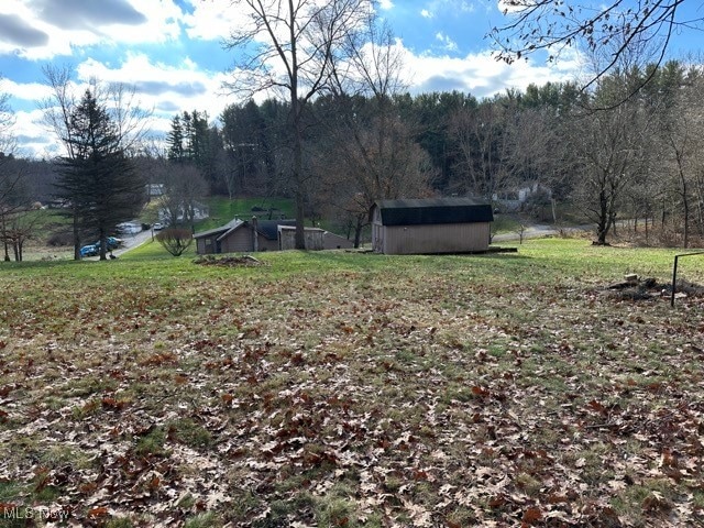 view of yard with a storage shed