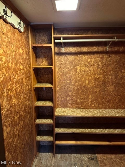 spacious closet with dark wood-type flooring