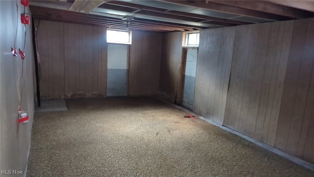 basement with carpet and wooden walls