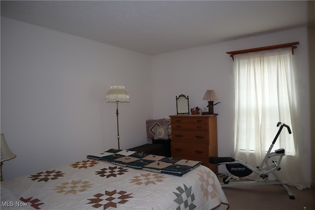 bedroom featuring carpet flooring and multiple windows