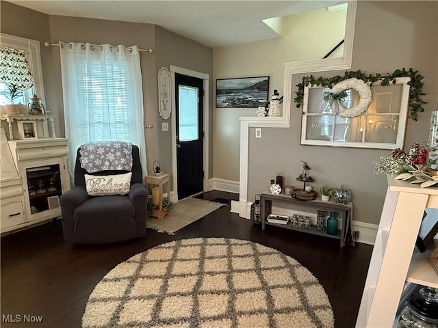 sitting room with dark hardwood / wood-style floors