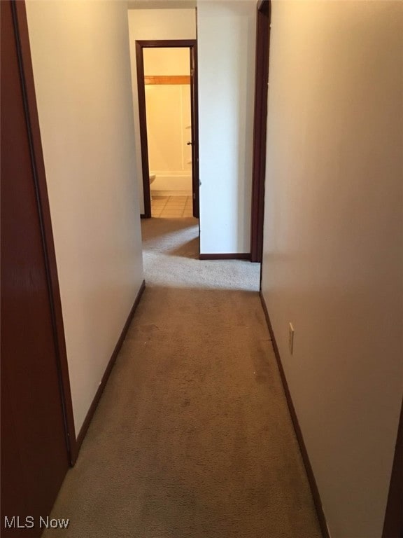 hallway with light carpet